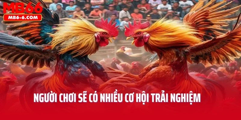 Người chơi sẽ có nhiều cơ hội khám phá và trải nghiệm những điều mới mẻ