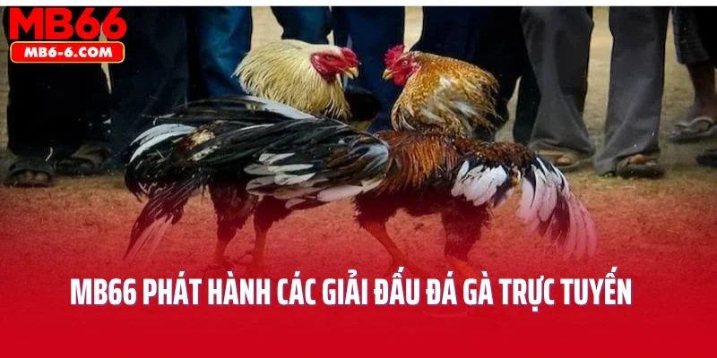 Nhà cái MB66 thường xuyên phát hành các giải đấu đá gà trực tuyến