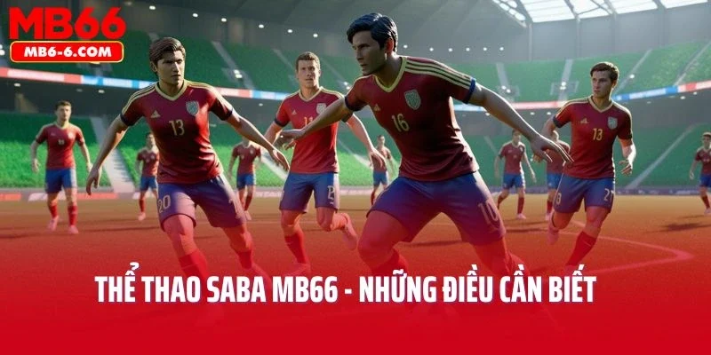Thể Thao Saba MB66 - Tất Tần Tật Những Điều Cần Biết 