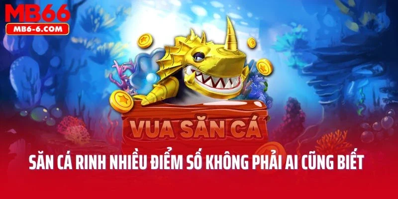 Cách thức săn cá rinh nhiều điểm số không phải ai cũng biết
