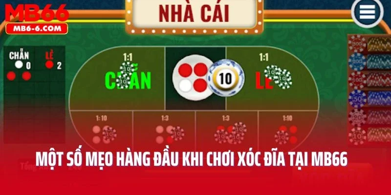 Một số mẹo hàng đầu khi chơi xóc đĩa tại nhà cái MB66